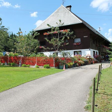 Ferienwohnung Schwarzwaldhof ทิทิเซ-นอยชตัดท์ ภายนอก รูปภาพ
