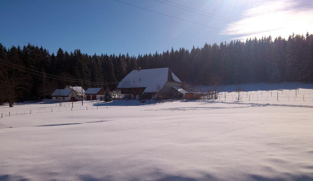 Ferienwohnung Schwarzwaldhof ทิทิเซ-นอยชตัดท์ ภายนอก รูปภาพ
