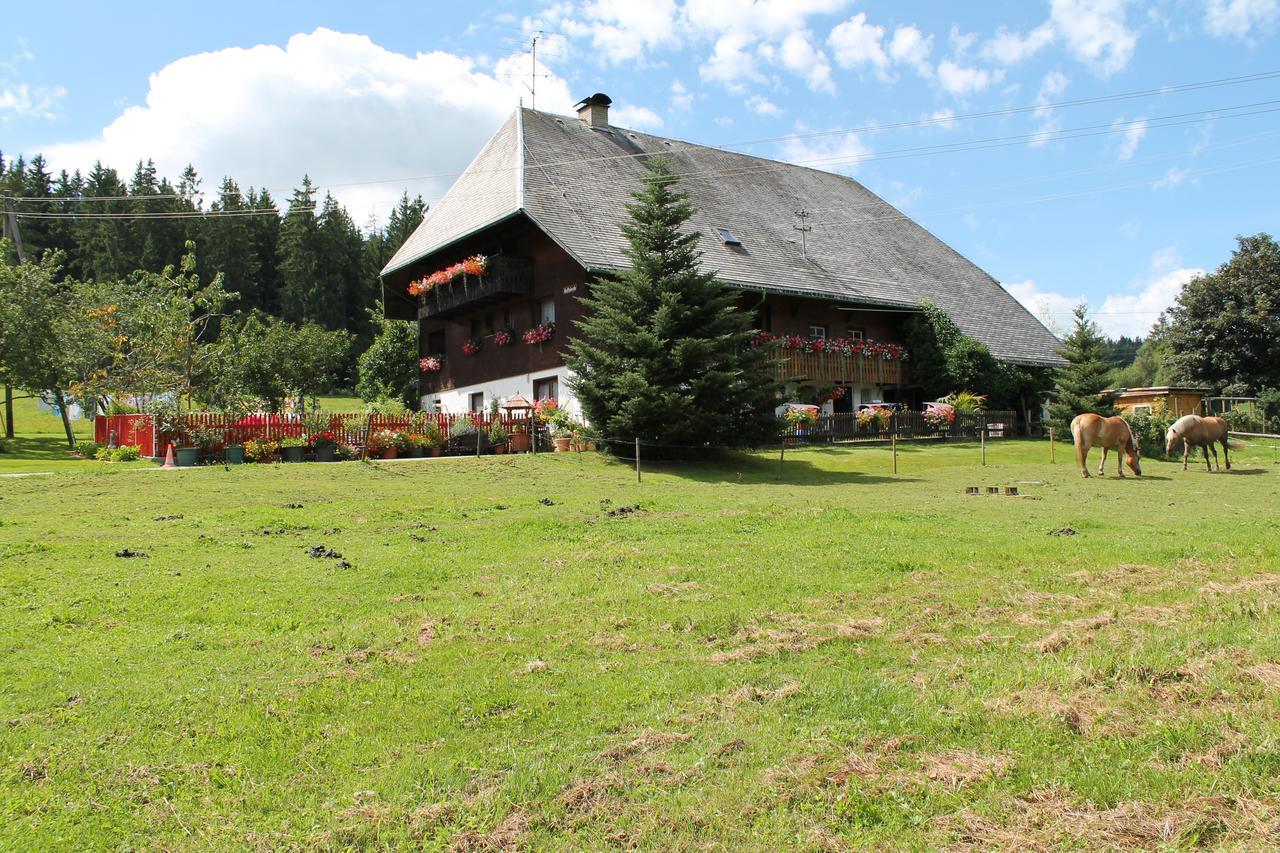 Ferienwohnung Schwarzwaldhof ทิทิเซ-นอยชตัดท์ ภายนอก รูปภาพ